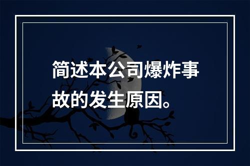 简述本公司爆炸事故的发生原因。