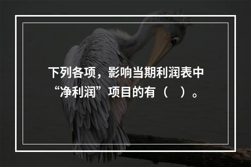 下列各项，影响当期利润表中“净利润”项目的有（　）。