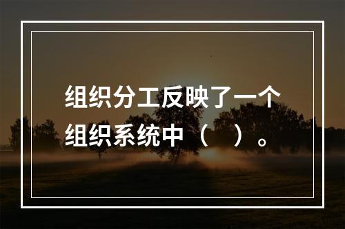 组织分工反映了一个组织系统中（　）。