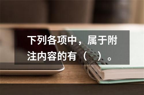 下列各项中，属于附注内容的有（　）。