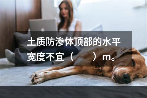 土质防渗体顶部的水平宽度不宜（　　）m。