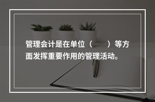 管理会计是在单位（　　）等方面发挥重要作用的管理活动。