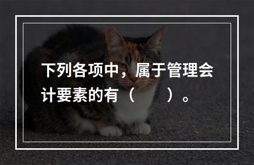 下列各项中，属于管理会计要素的有（　　）。