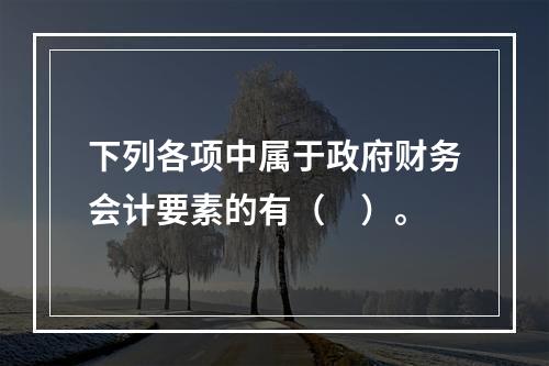 下列各项中属于政府财务会计要素的有（　）。