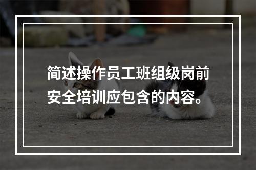 简述操作员工班组级岗前安全培训应包含的内容。