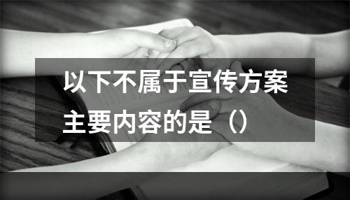 以下不属于宣传方案主要内容的是（）