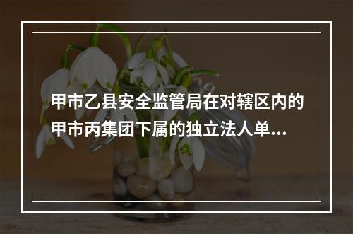 甲市乙县安全监管局在对辖区内的甲市丙集团下属的独立法人单位丁