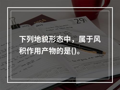 下列地貌形态中，属于风积作用产物的是()。