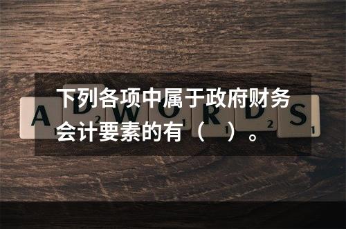 下列各项中属于政府财务会计要素的有（　）。