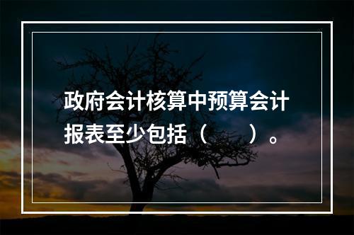 政府会计核算中预算会计报表至少包括（　　）。