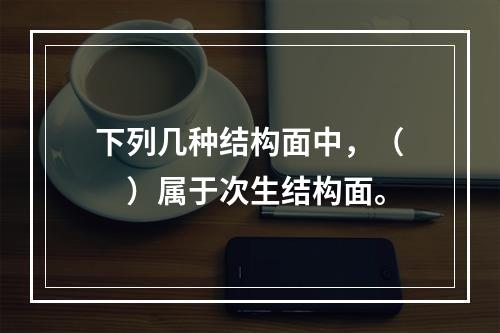 下列几种结构面中，（　　）属于次生结构面。