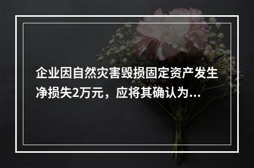 企业因自然灾害毁损固定资产发生净损失2万元，应将其确认为费用