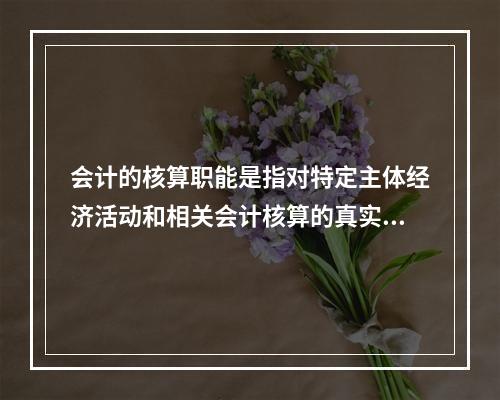 会计的核算职能是指对特定主体经济活动和相关会计核算的真实性、