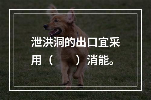 泄洪洞的出口宜采用（　　）消能。