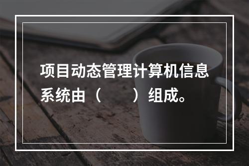 项目动态管理计算机信息系统由（　　）组成。