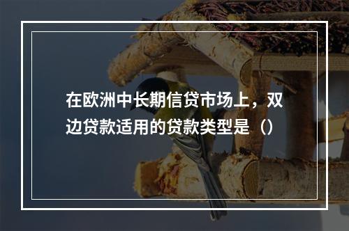 在欧洲中长期信贷市场上，双边贷款适用的贷款类型是（）