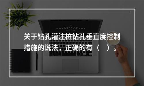 关于钻孔灌注桩钻孔垂直度控制措施的说法，正确的有（　）。