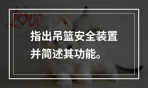 指出吊篮安全装置并简述其功能。