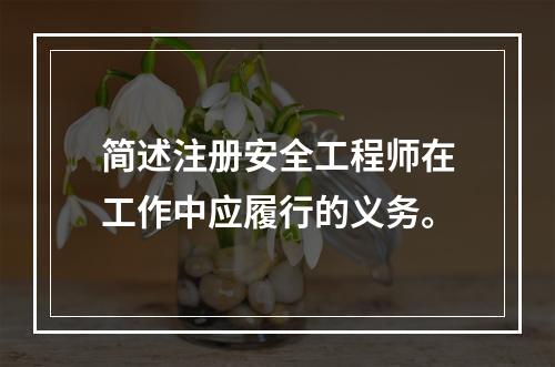 简述注册安全工程师在工作中应履行的义务。