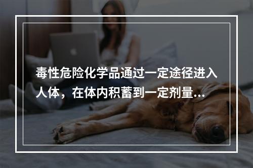 毒性危险化学品通过一定途径进入人体，在体内积蓄到一定剂量后就