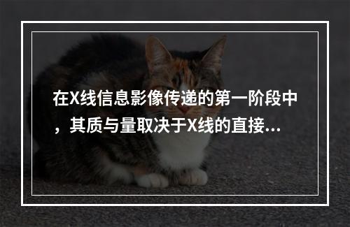 在X线信息影像传递的第一阶段中，其质与量取决于X线的直接因素