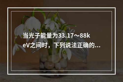 当光子能量为33.17～88keV之间时，下列说法正确的是（