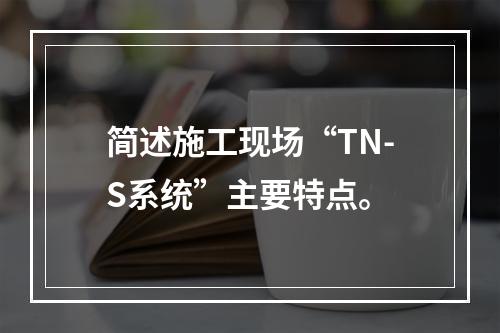 简述施工现场“TN-S系统”主要特点。