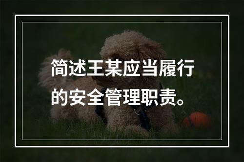 简述王某应当履行的安全管理职责。