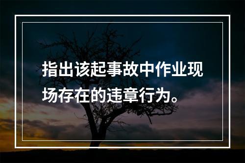 指出该起事故中作业现场存在的违章行为。