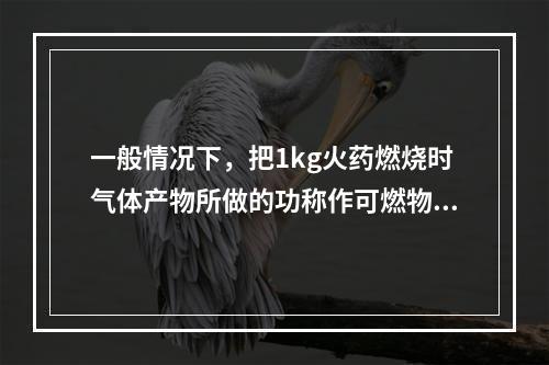 一般情况下，把1kg火药燃烧时气体产物所做的功称作可燃物质的