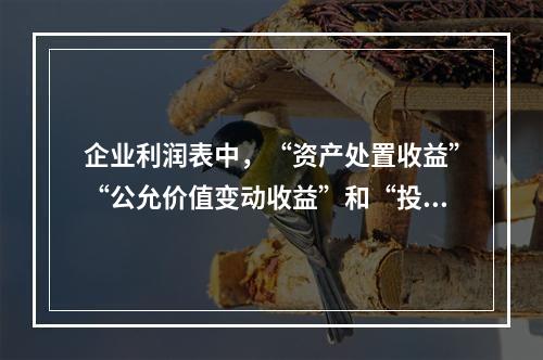 企业利润表中，“资产处置收益”“公允价值变动收益”和“投资收