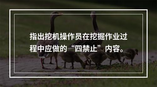 指出挖机操作员在挖掘作业过程中应做的“四禁止”内容。