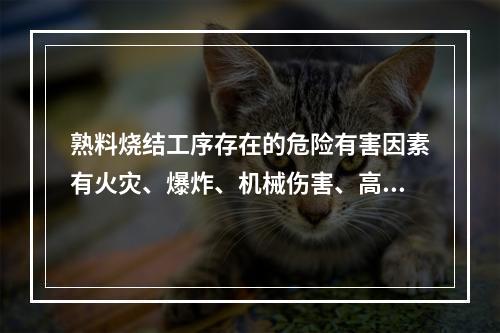 熟料烧结工序存在的危险有害因素有火灾、爆炸、机械伤害、高处坠