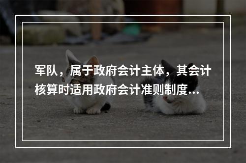 军队，属于政府会计主体，其会计核算时适用政府会计准则制度。（