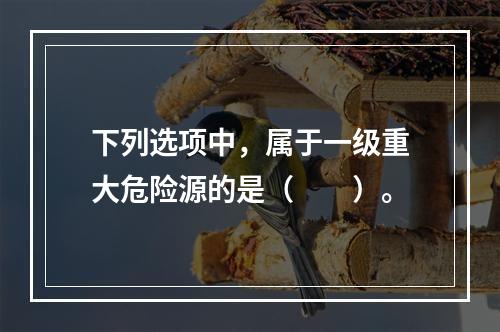 下列选项中，属于一级重大危险源的是（　　）。