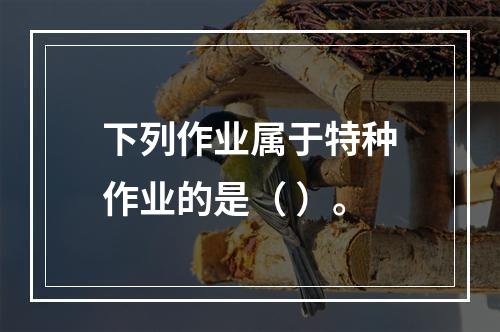 下列作业属于特种作业的是（	）。