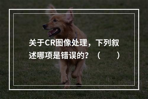 关于CR图像处理，下列叙述哪项是错误的？（　　）