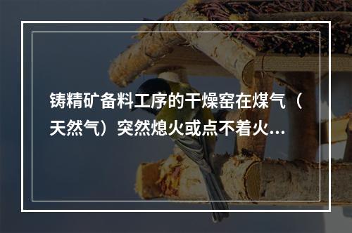 铸精矿备料工序的干燥窑在煤气（天然气）突然熄火或点不着火时，