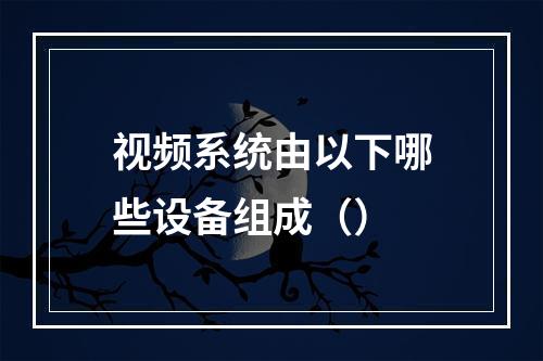 视频系统由以下哪些设备组成（）