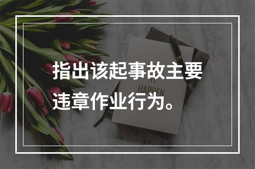 指出该起事故主要违章作业行为。