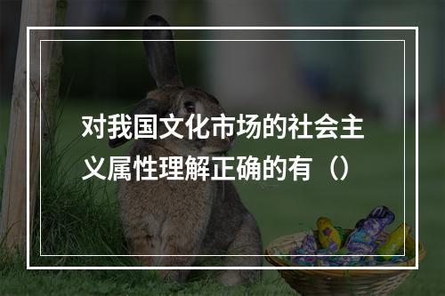 对我国文化市场的社会主义属性理解正确的有（）