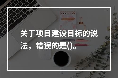 关于项目建设目标的说法，错误的是()。