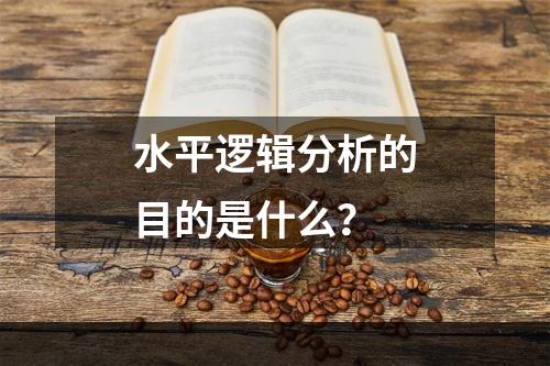 水平逻辑分析的目的是什么？