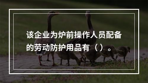 该企业为炉前操作人员配备的劳动防护用品有（	）。