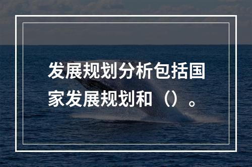 发展规划分析包括国家发展规划和（）。