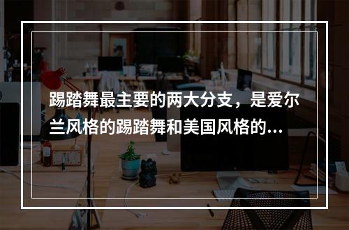 踢踏舞最主要的两大分支，是爱尔兰风格的踢踏舞和美国风格的踢踏