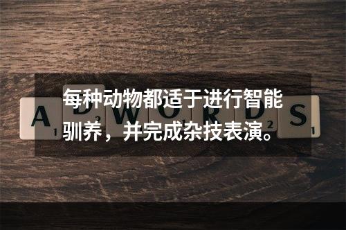 每种动物都适于进行智能驯养，并完成杂技表演。