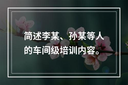 简述李某、孙某等人的车间级培训内容。