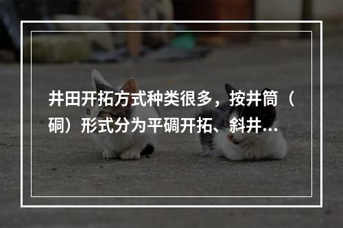 井田开拓方式种类很多，按井筒（硐）形式分为平碉开拓、斜井开拓