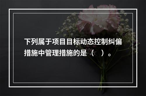 下列属于项目目标动态控制纠偏措施中管理措施的是（　）。